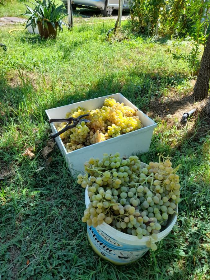 Chateau Sukaj Laknas Bagian luar foto